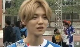 鹿晗爆料韩国女星视频,真相与争议并存